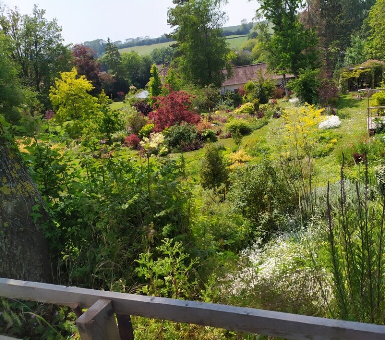 Plein la vue au Jardin Gardincour